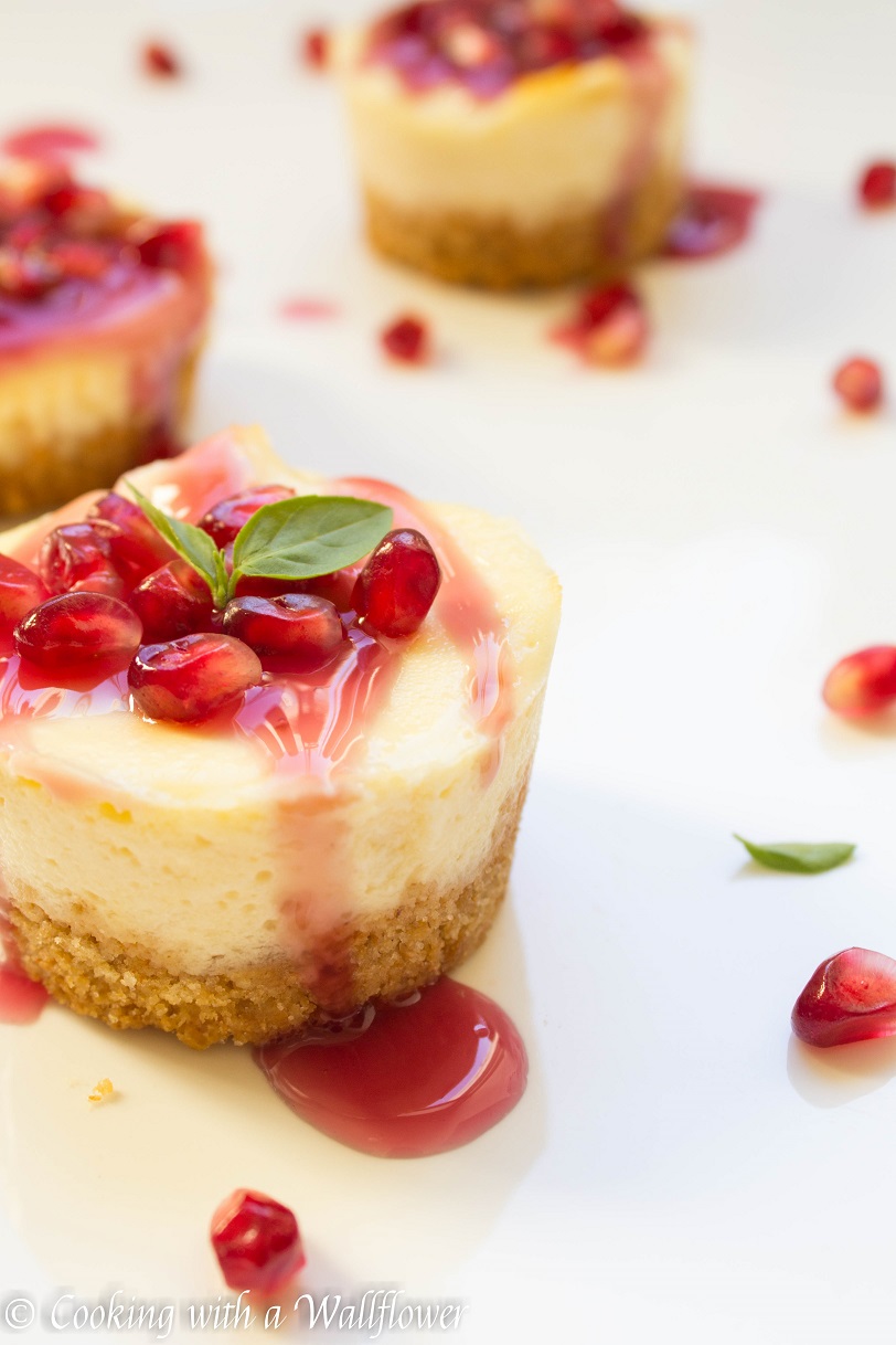 Mini-Vanilla-Cheesecake-with-Pomegranate-Sauce-2