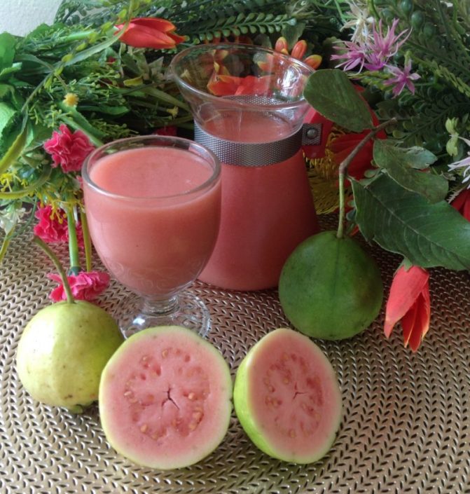 Guava Drink Newcomer Kitchen